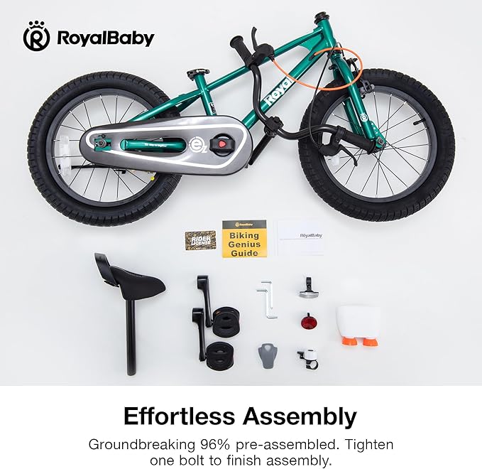 RoyalBaby Kids Bike EZ Balance to Pedal Dual Handbrake Toddlers Boys Girls Bicycle 12-20 Inch for Age 3-10 Years