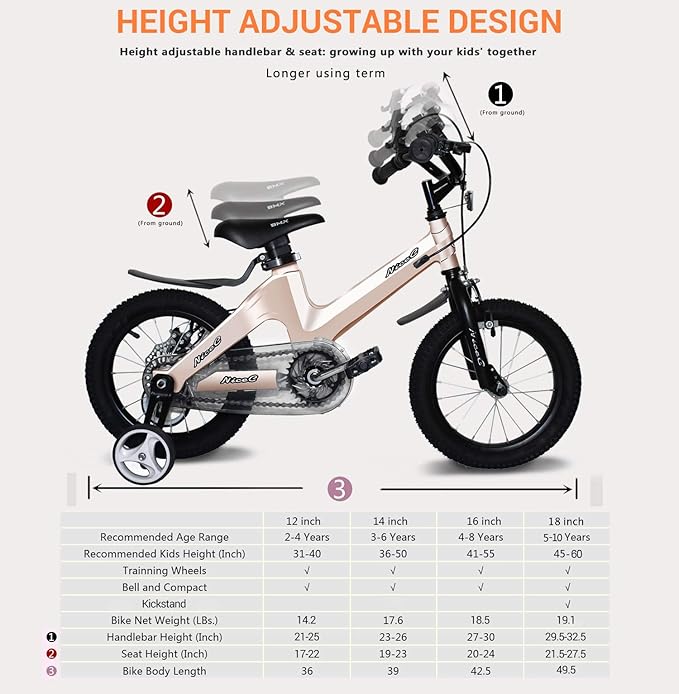 Nice C Training Wheel Bike, Kids Bike Boys Girls, BMX Mountain with Dual Disc Brake 12-14-16-18 inch