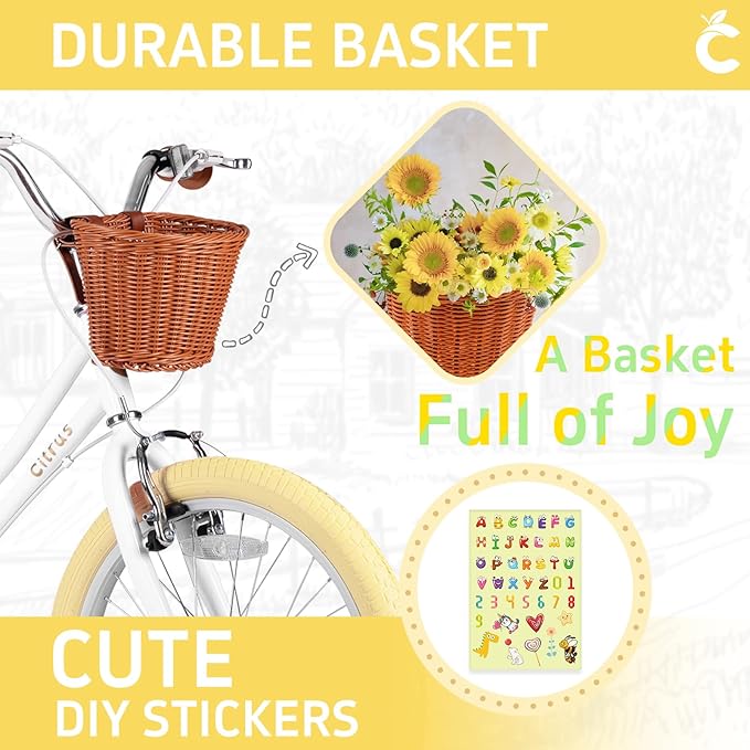 Girls Bike for Age 2-12 Years Old Kids Toddlers 12 14 16 18 20 Inches Retro Bicycles with Training Wheels Basket Bell Ring, Multiple Colors