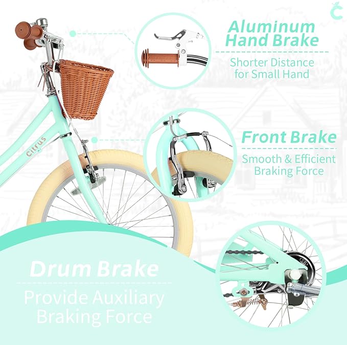 Girls Bike for Age 2-12 Years Old Kids Toddlers 12 14 16 18 20 Inches Retro Bicycles with Training Wheels Basket Bell Ring, Multiple Colors