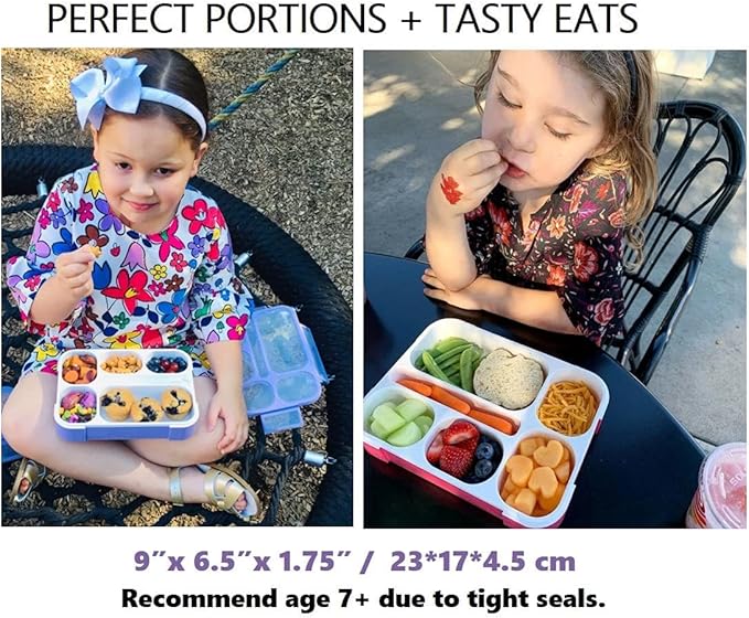 Bento Boxes with Bags and Ice Packs Set of 2. Lunch Box Snack Containers for Kids Boys Girls Adults. 6 Compartments, Leak-proof Portion Container Insulated Bag for School Lunches, Pink & Purple