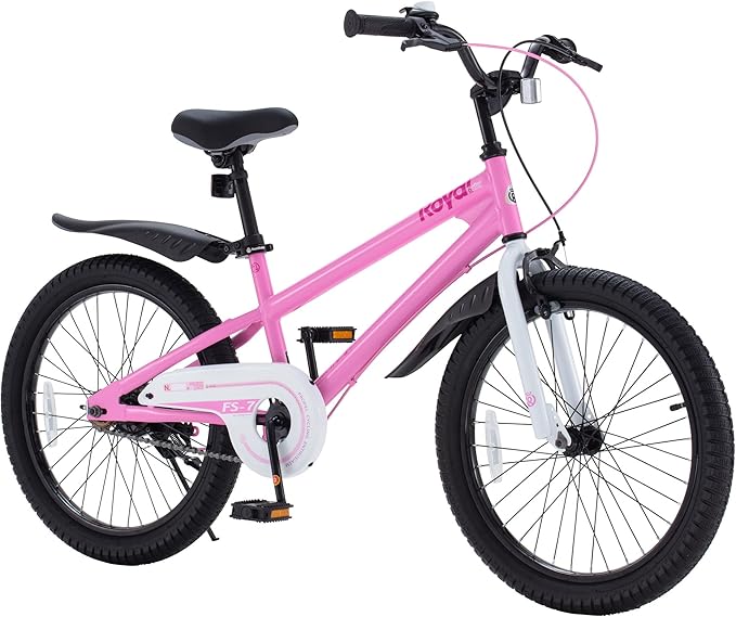 RoyalBaby Kids Bike EZ Balance to Pedal Dual Handbrake Toddlers Boys Girls Bicycle 12-20 Inch for Age 3-10 Years