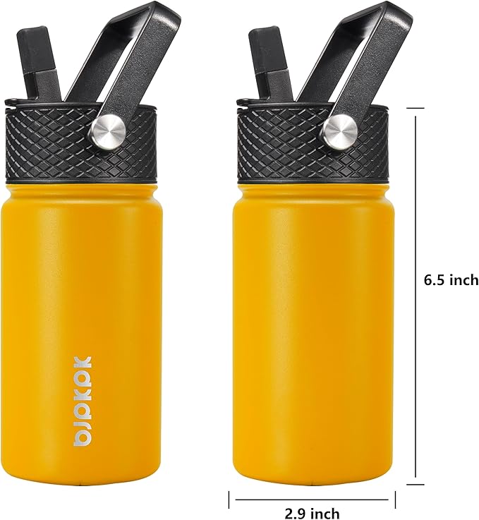 BJPKPK Water Bottle with Straw Lid, 15 oz Insulated Water Bottle, Stainless Steel Metal Water Bottles, Reusable Leak Proof BPA Free Thermo, Flask, Cups,Macaron-Orange