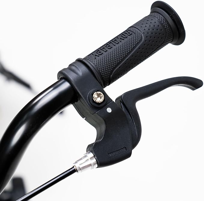 RoyalBaby Kids Bike Freestyle Classic & EZ Balance Pedal Switchable Bicycle, 12 14 16 18 Inch, 3-10 Years Toddler to Big Kids