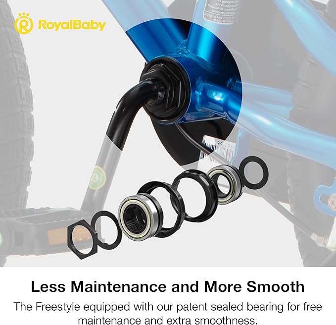 RoyalBaby Kids Bike EZ Balance to Pedal Dual Handbrake Toddlers Boys Girls Bicycle 12-20 Inch for Age 3-10 Years