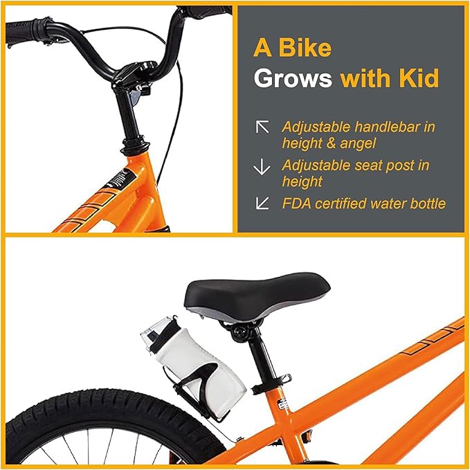 RoyalBaby Kids Bike EZ Freestyle Training Free Balance to Pedal Easy Learning Bicycle, 12-18 Inch for Toddlers to Big Kids