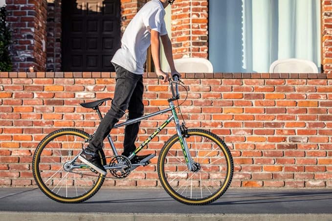 Schwinn Sting Pro and Predator Team BMX Bike for Kids/Youth, Retro Design, Single-Speed, Hi-Ten Steel Frame, 20 or 24-Inch Wheels, Multiple Colors