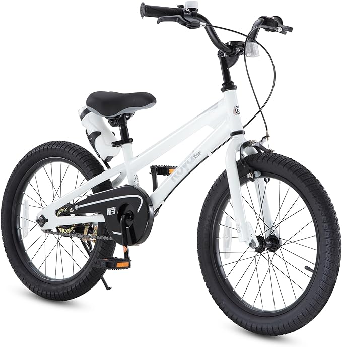 RoyalBaby Kids Bike EZ Balance to Pedal Dual Handbrake Toddlers Boys Girls Bicycle 12-20 Inch for Age 3-10 Years