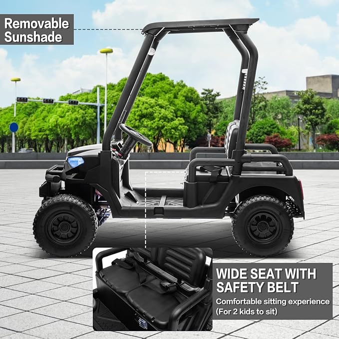24V 2 Seater Kids Ride on Car, 4WD Golf Cart with Parent Remote Control, 4x4 Motors Ride on Truck with Roof, Toddler Electric Vehicle with Storage Box, Foot Pedal, Music Player, Lights, Horn, Black