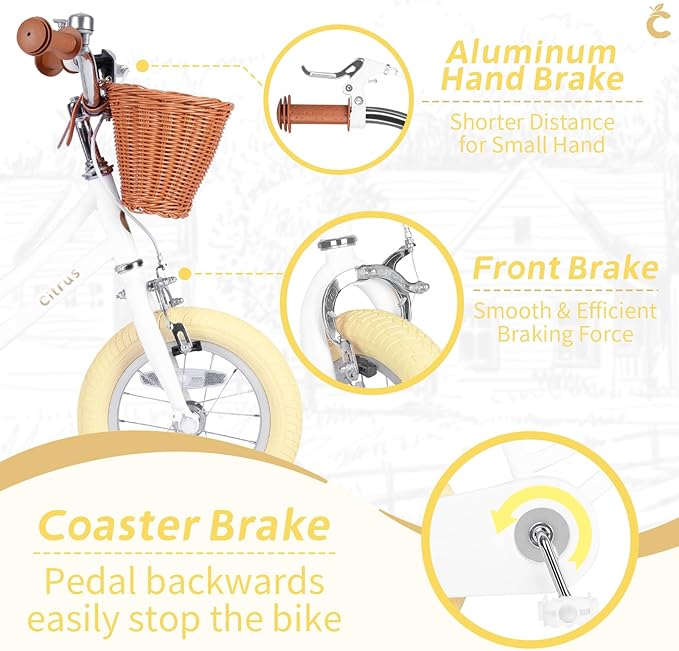 Girls Bike for Age 2-12 Years Old Kids Toddlers 12 14 16 18 20 Inches Retro Bicycles with Training Wheels Basket Bell Ring, Multiple Colors