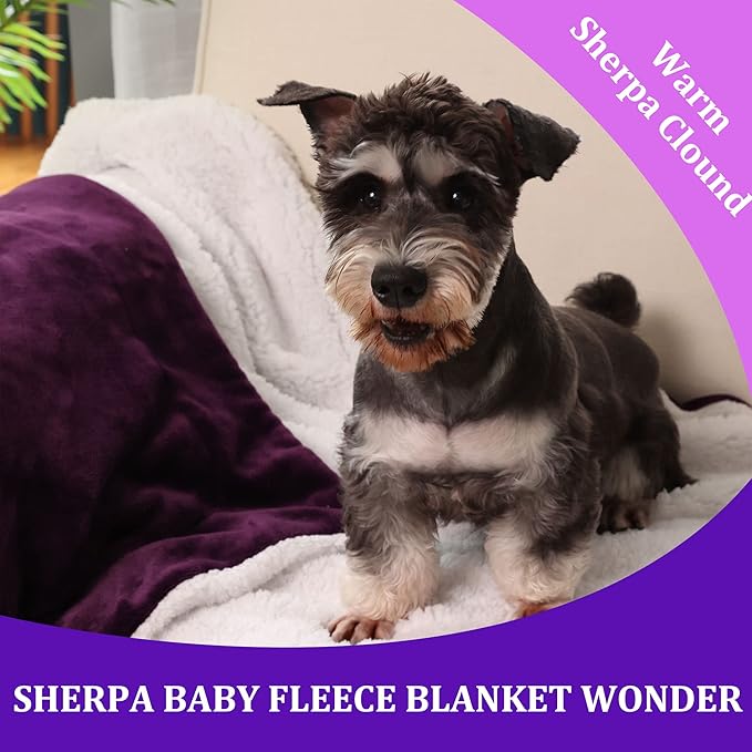 NANPIPER Baby Sherpa Blanket,Warm Toddler Throw Blanket,Soft Newborn Fleece Blanket for Winter (Purple,30x40 inches)