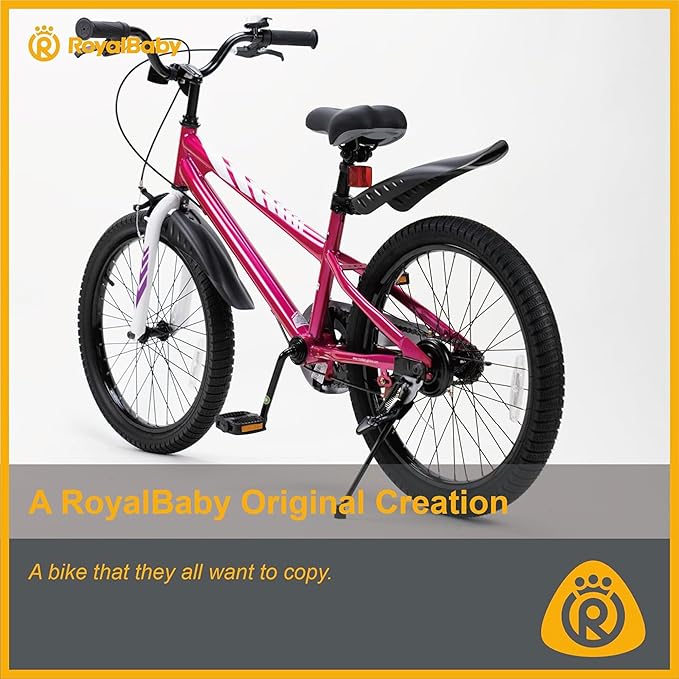 RoyalBaby Kids Bike EZ Balance to Pedal Dual Handbrake Toddlers Boys Girls Bicycle 12-20 Inch for Age 3-10 Years