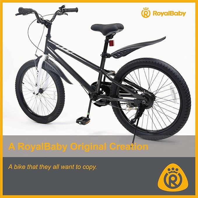 RoyalBaby Kids Bike EZ Balance to Pedal Dual Handbrake Toddlers Boys Girls Bicycle 12-20 Inch for Age 3-10 Years