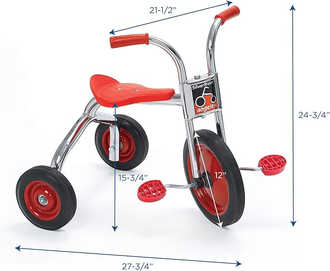 SILVERRIDER Toddler Trike, Kids Tricycle for Preschool, Daycare, Playground Kids Tricycles, Rubber Tires, Silver/Black, 12" Trike