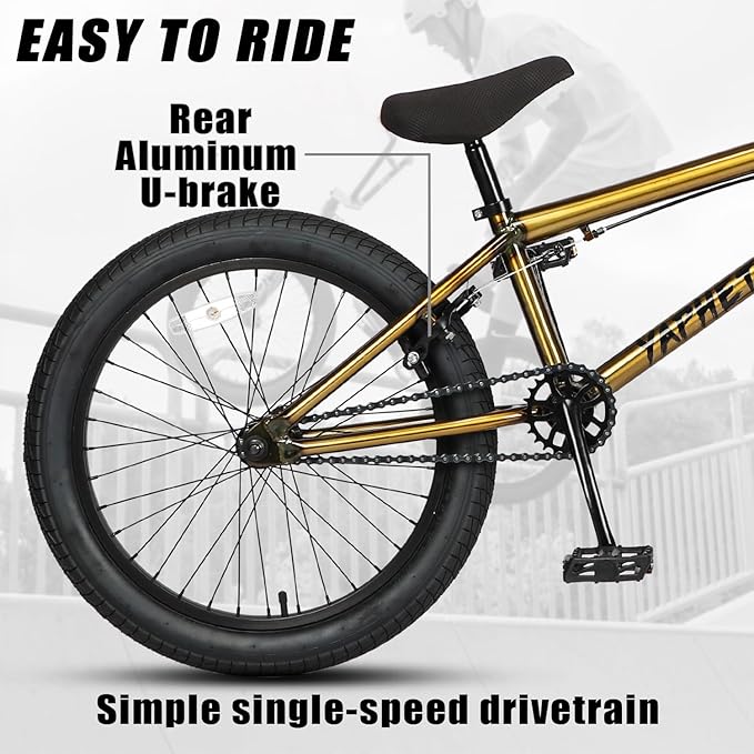 Freestyle BMX Bike, 20 Inch Yaphet Bicycle for Teen Beginner and Adult Riders, Bike with Hi-Ten Steel Frame, Multiple Colors