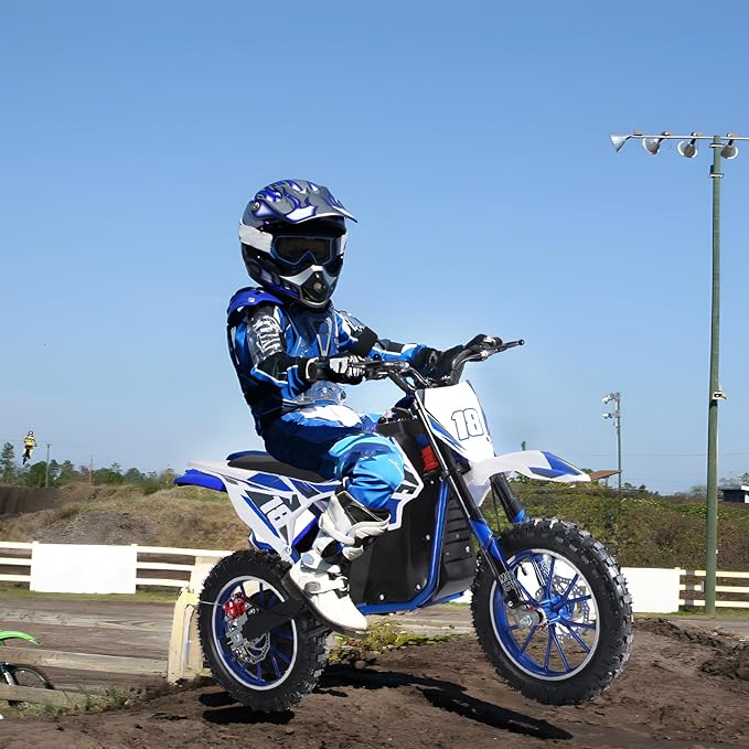 Electric Dirt Bike for Kids Teens Adults, 350W Mid-Drive Motor and 15.5MPH Electric Motorcycle with 36V/7.5AH Battery Ebike, Full Suspensions Mountain Off-Road E Bike, Hydraulic Brakes