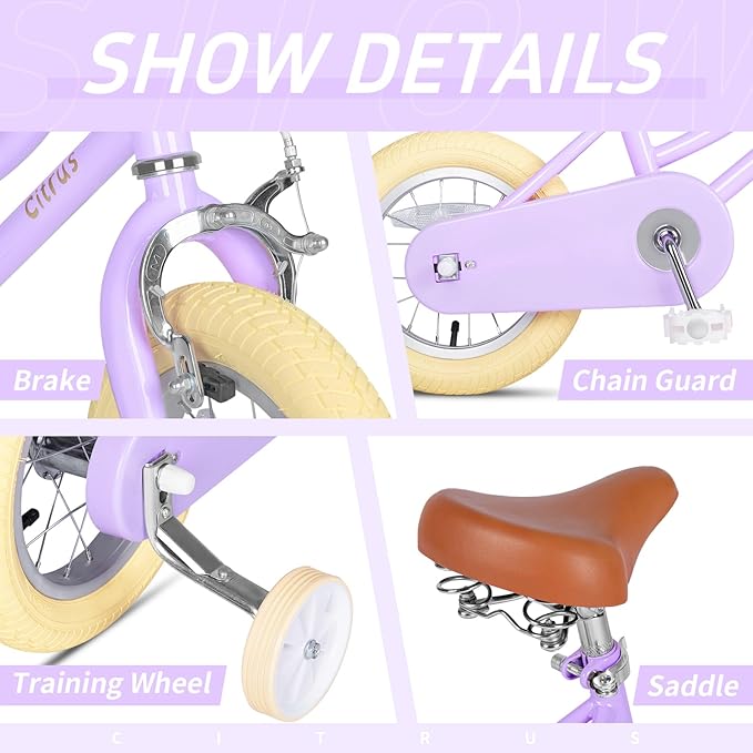 Girls Bike for Age 2-12 Years Old Kids Toddlers 12 14 16 18 20 Inches Retro Bicycles with Training Wheels Basket Bell Ring, Multiple Colors