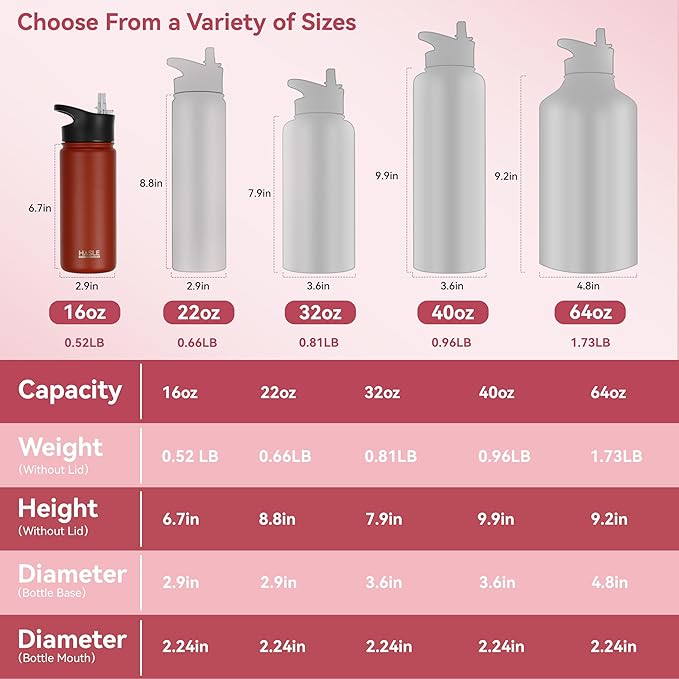 HASLE OUTFITTERS Insulated Water Bottle 16 oz Double Wall Vacuum Stainless Steel Water Bottle Leak Proof for School Wide Mouth with Straw Lid & Spout Lid Keeps Cold and Hot(Red,8pack)
