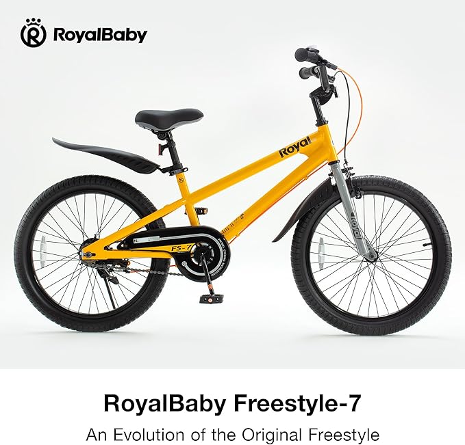 RoyalBaby Kids Bike EZ Balance to Pedal Dual Handbrake Toddlers Boys Girls Bicycle 12-20 Inch for Age 3-10 Years
