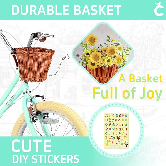 Girls Bike for Age 2-12 Years Old Kids Toddlers 12 14 16 18 20 Inches Retro Bicycles with Training Wheels Basket Bell Ring, Multiple Colors