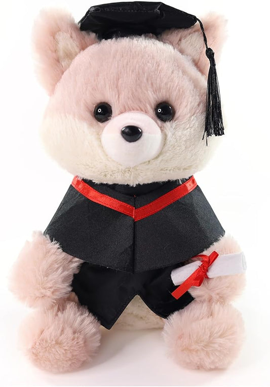 Graduation Gifts Fox Stuffed Animal - 10" Cute Fox Plush Toy with Graduation Cap, Gown & Diploma, Inspirational Keepsake for Elementary, High School & College Graduates
