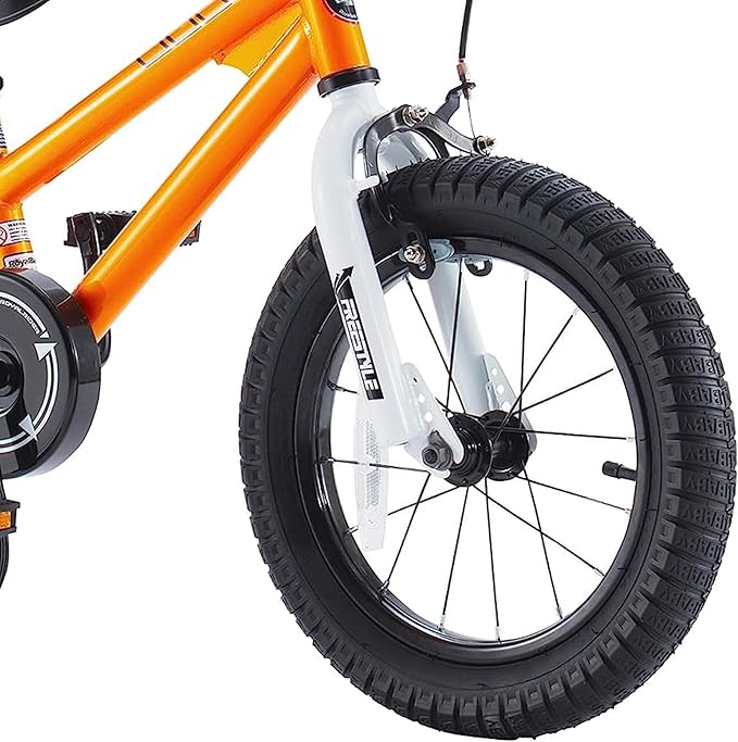 RoyalBaby Kids Bike EZ Freestyle Training Free Balance to Pedal Easy Learning Bicycle, 12-18 Inch for Toddlers to Big Kids