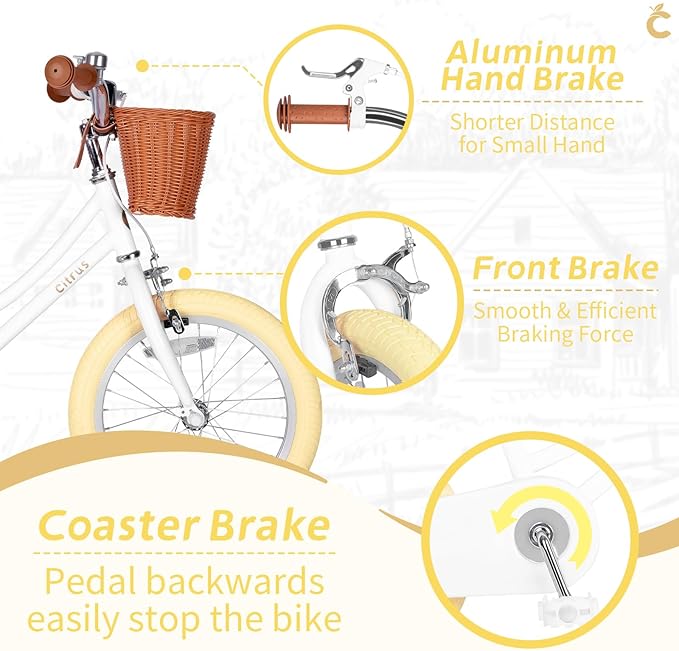 Girls Bike for Age 2-12 Years Old Kids Toddlers 12 14 16 18 20 Inches Retro Bicycles with Training Wheels Basket Bell Ring, Multiple Colors