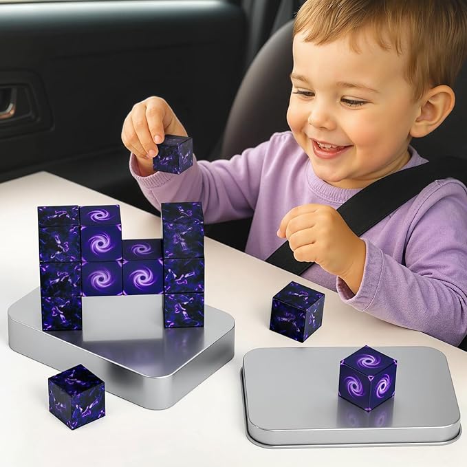 3 otters 12PCS Magnetic Building Blocks, Travel Toys for Kids STEM Magnetic Cube with Storage Box for Boys Girls Birthday Party (Portal)