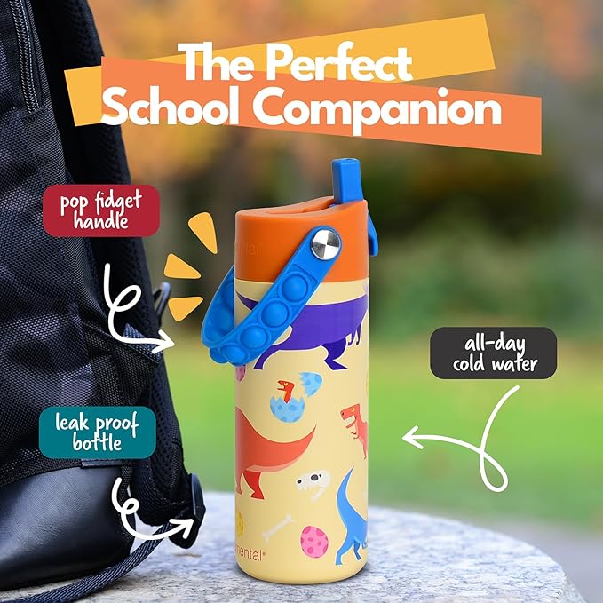 Elemental Insulated Kids Water Bottle, Stainless Steel Water Bottle with Straw Lid & Pop-It Handle, Leak-Proof Water Bottles for School, Boys or Girls, Travelling and Sports, 18oz - Dino Rage