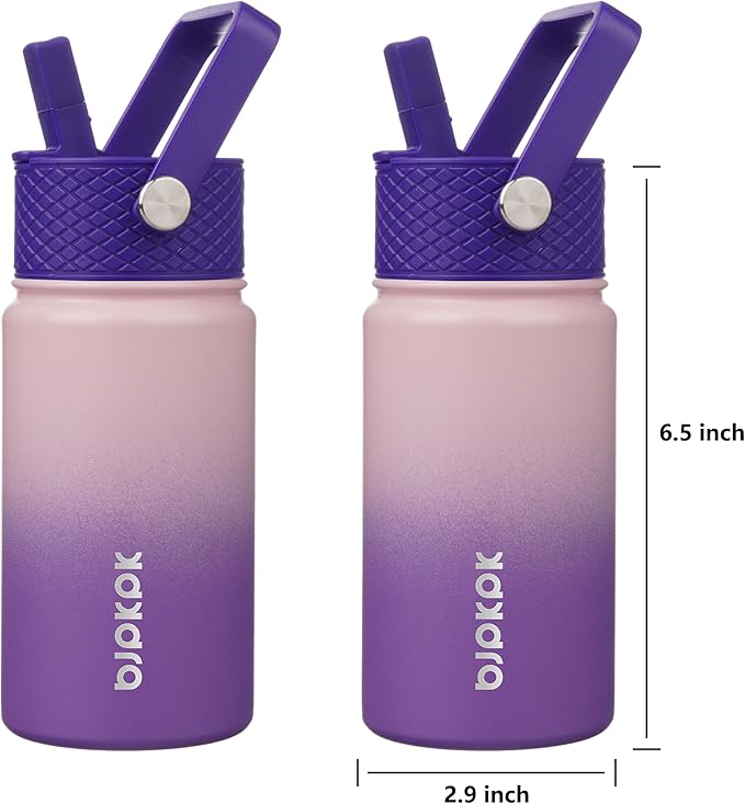 BJPKPK Insulated Water Bottle with Straw Lid, 15 oz Stainless Steel Metal Water Bottles, Reusable Leak Proof BPA Free Thermo, Flask, Cups - Violet