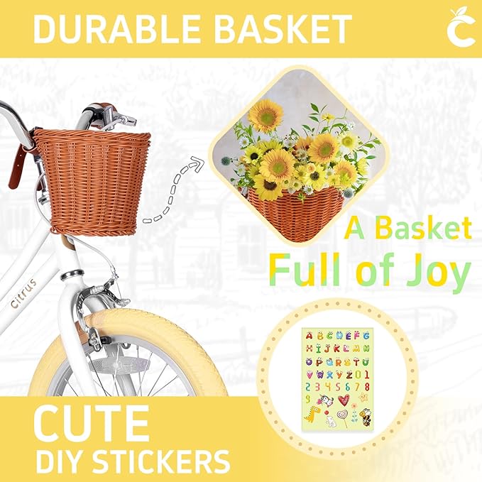 Girls Bike for Age 2-12 Years Old Kids Toddlers 12 14 16 18 20 Inches Retro Bicycles with Training Wheels Basket Bell Ring, Multiple Colors