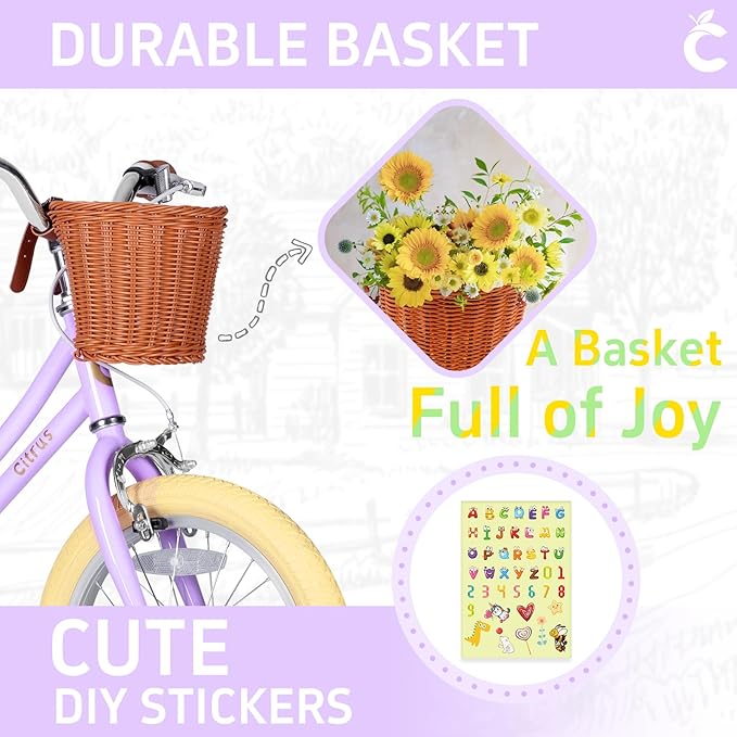 Girls Bike for Age 2-12 Years Old Kids Toddlers 12 14 16 18 20 Inches Retro Bicycles with Training Wheels Basket Bell Ring, Multiple Colors