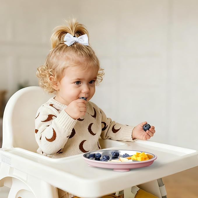 Stainless Steel Toddler Plate with Suction, 8” Divided Plates with Removable Silicone Sleeves for Baby, Non Toxic Unbreakable Kids Snack Dishes Set of 4, Sage Blue Gray Blush