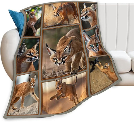 Caracal Blanket African Caracal Animal Lover Throw Blankets Gifts for Girls Boys Kids Soft Cozy Fleece Plush for Couch Sofa Bed 80"x60"