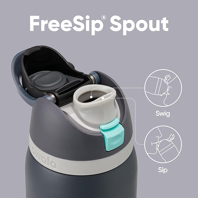 Owala FreeSip Insulated Stainless Steel Water Bottle with Straw for Sports, Travel, and School BPA-Free Sports Water Bottle, 32 oz, Foggy Tide
