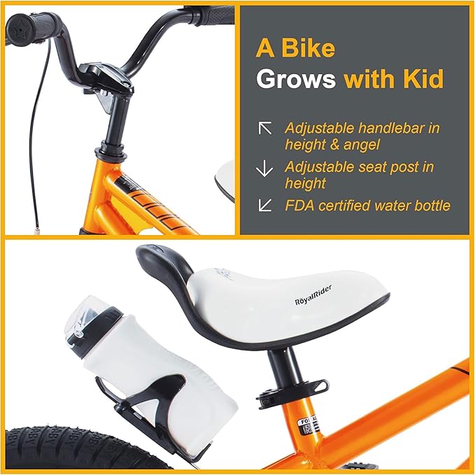 RoyalBaby Kids Bike EZ Freestyle Training Free Balance to Pedal Easy Learning Bicycle, 12-18 Inch for Toddlers to Big Kids
