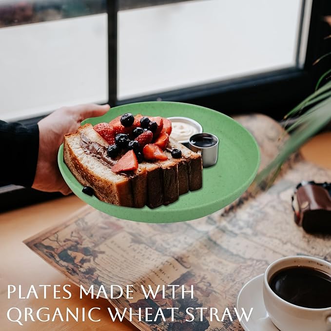 Homienly Dessert & Salad Set - Unbreakable Wheat Straw Plates, 8-10 inch, Reusable (Green Series)