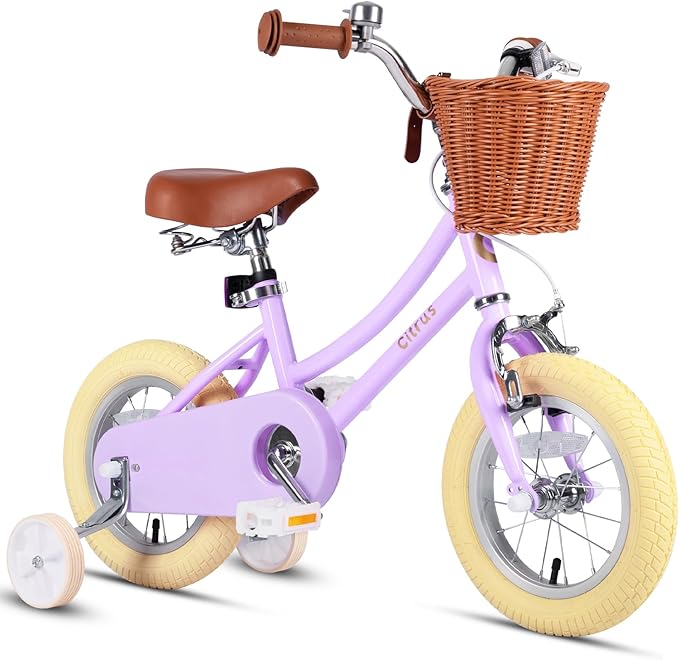 Girls Bike for Age 2-12 Years Old Kids Toddlers 12 14 16 18 20 Inches Retro Bicycles with Training Wheels Basket Bell Ring, Multiple Colors