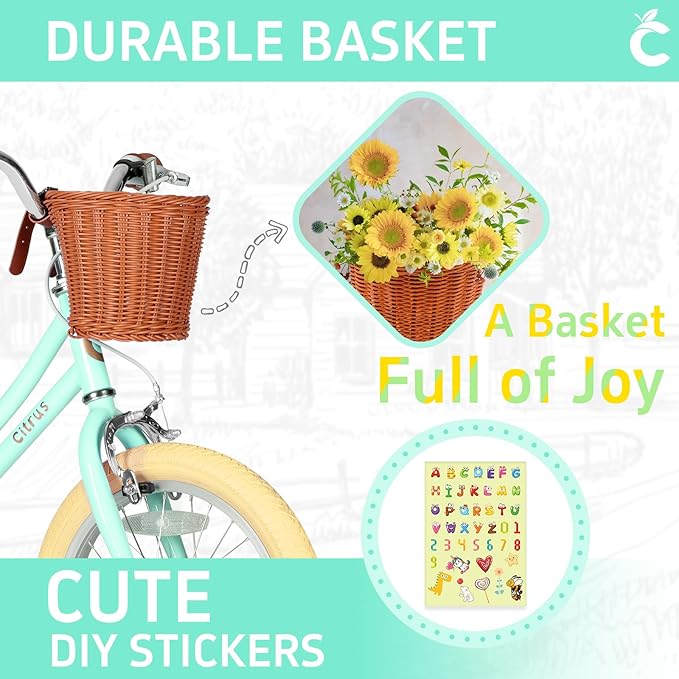 Girls Bike for Age 2-12 Years Old Kids Toddlers 12 14 16 18 20 Inches Retro Bicycles with Training Wheels Basket Bell Ring, Multiple Colors