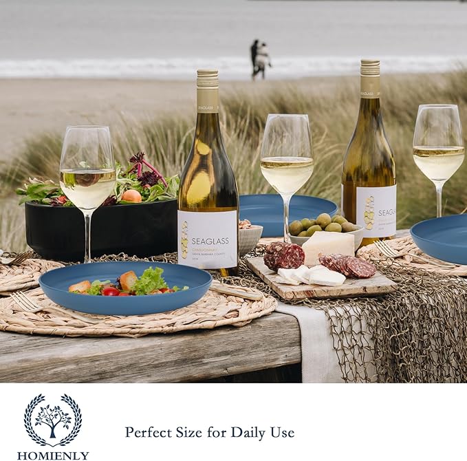 Homienly Dinner Plates Set, Alternative to Plastic Plates,Wheat Straw Plate Set of 8,Lightweight Microwave and Dishwasher Safe Plate,Unbreakable Salad Plates for Kitchen, Camping (Blue,10 inch)