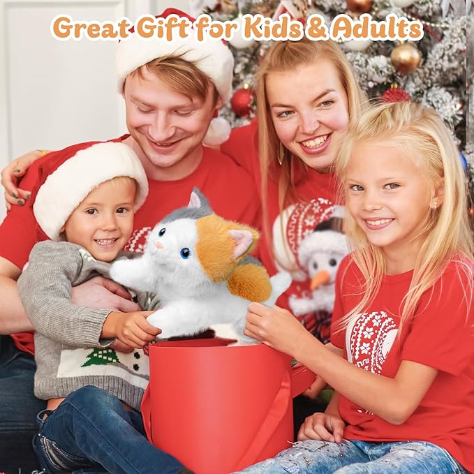 19 inch 3 Pounds Cat Weighted Stuffed Animals, Realistic Weighted Cat Stuffed Animal, Sensory Comfort Plush Throw Pillow, Soft Kawaii Kitty Plush Toy Gift for Adults Kids Youth