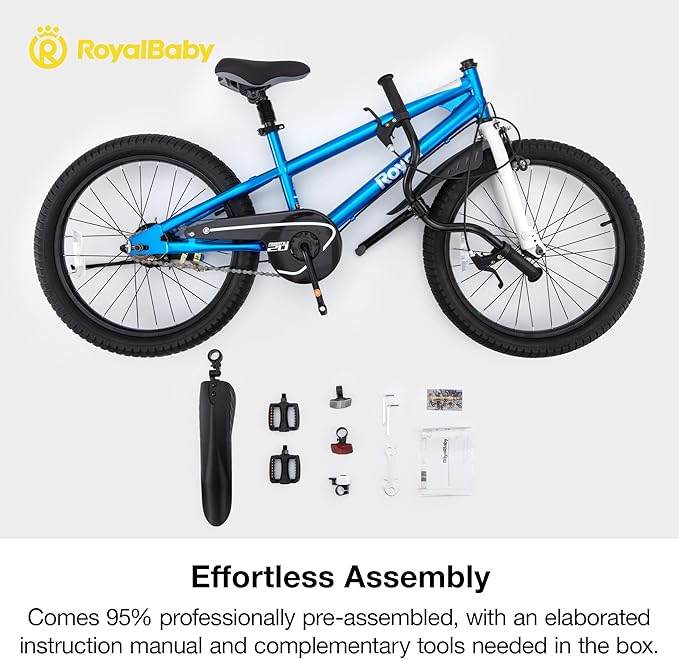 RoyalBaby Kids Bike EZ Balance to Pedal Dual Handbrake Toddlers Boys Girls Bicycle 12-20 Inch for Age 3-10 Years