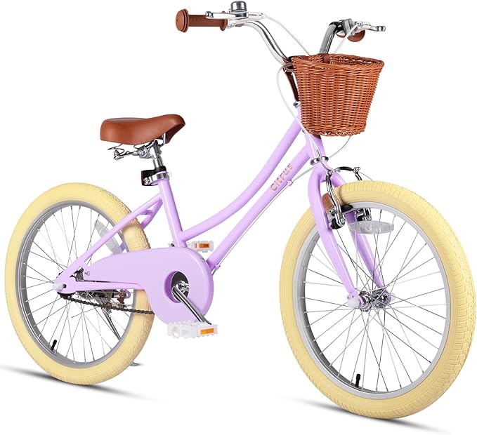 Girls Bike for Age 2-12 Years Old Kids Toddlers 12 14 16 18 20 Inches Retro Bicycles with Training Wheels Basket Bell Ring, Multiple Colors