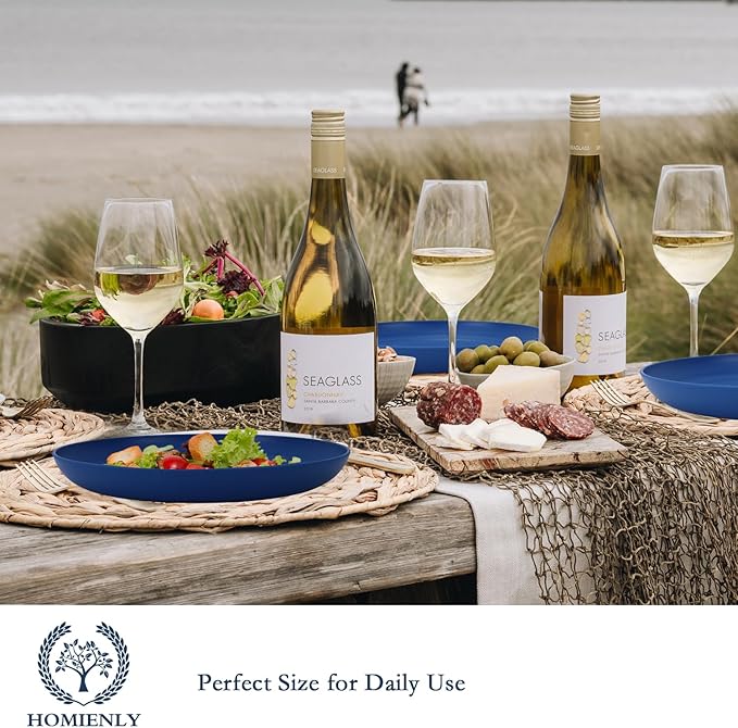 Homienly Dessert Plates Set of 8-8 inch Plate Set Wheat Straw Plates for Kitchen Unbreakable Plate for Dessert, Appetizer,Pancakes, Microwave & Dishwasher Safe Kitchen Essentials(Blue Series)