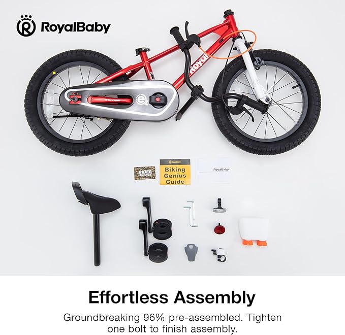 RoyalBaby Kids Bike EZ Balance to Pedal Dual Handbrake Toddlers Boys Girls Bicycle 12-20 Inch for Age 3-10 Years