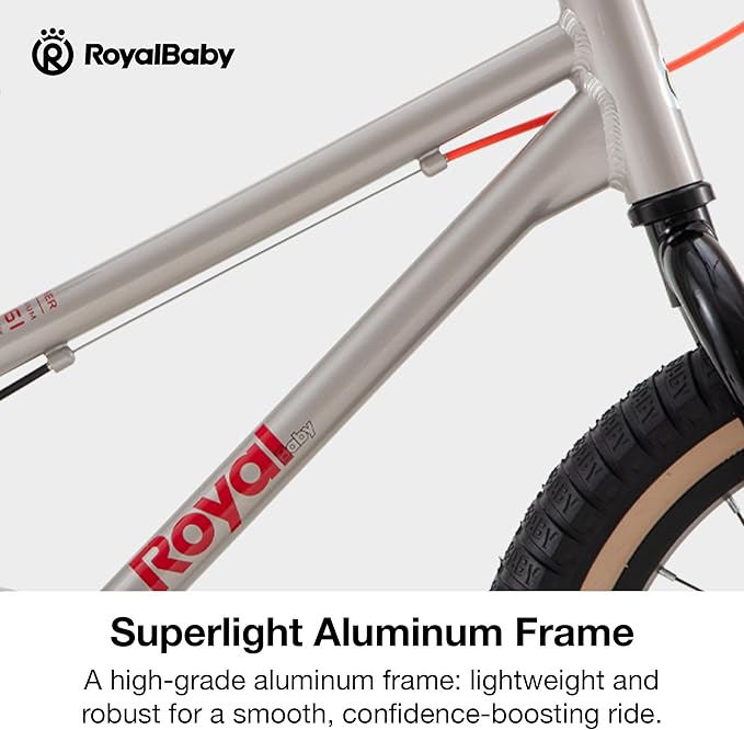 RoyalBaby EZ Kids Bike, Lightweight Aluminum 2-in-1 Balance to Pedal Bike for Beginners Easy Learn Biking, Boys Girls