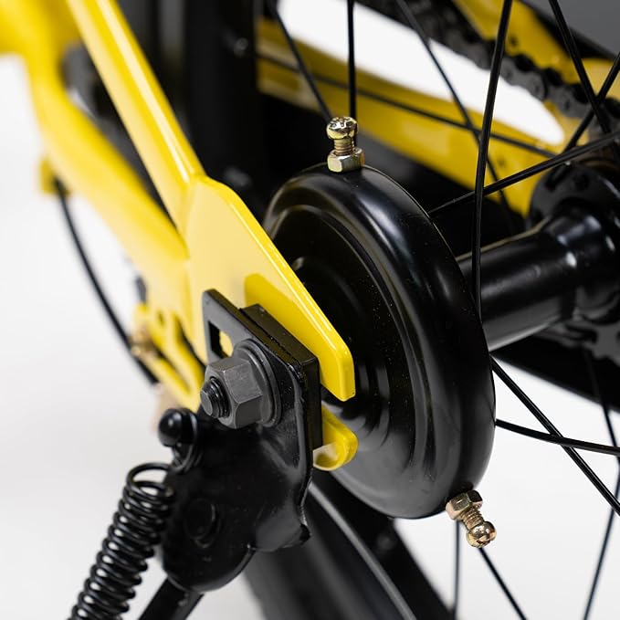 RoyalBaby Kids Bike EZ Balance to Pedal Dual Handbrake Toddlers Boys Girls Bicycle 12-20 Inch for Age 3-10 Years