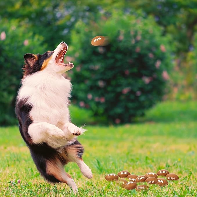 Blulu 50 Pack Mini Football Bulk 2.17" Foam Football Party Favor Sports Stress Ball Small Foam Ball for Back to School Homecoming Game Team Birthday Party Bag Gift Filler