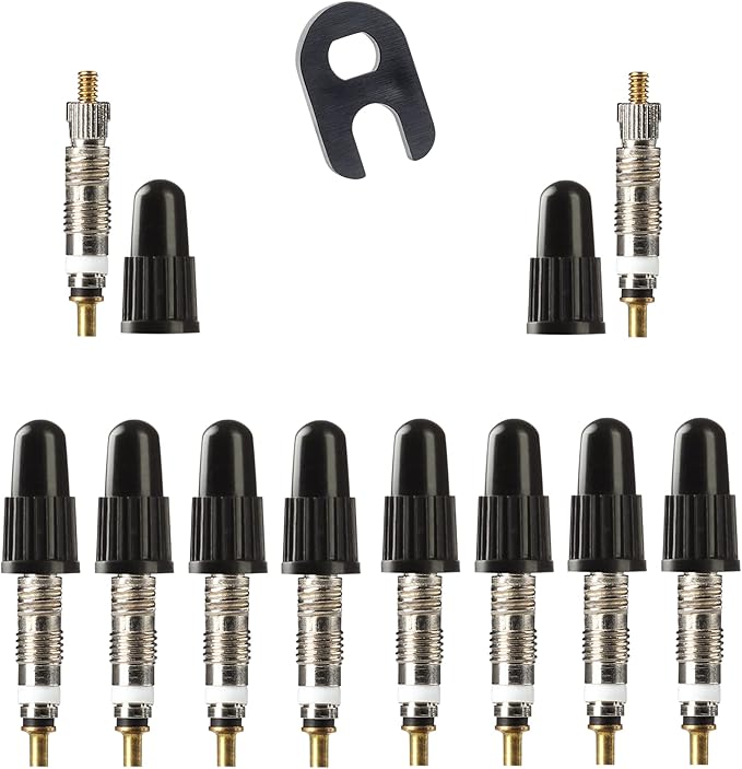 Presta Valve Cores with Removal Tool and 10 Cores and 10 Caps for Tubeless Tires. Mountain, Road Bike and BMX Compatible. Silver 10 Pack.