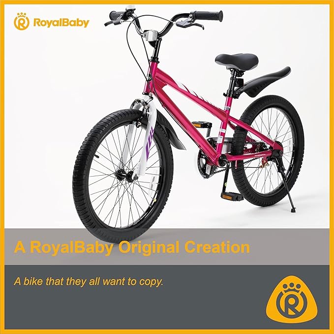 RoyalBaby Kids Bike EZ Balance to Pedal Dual Handbrake Toddlers Boys Girls Bicycle 12-20 Inch for Age 3-10 Years